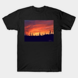 Desert Sunset Landscape (2022) T-Shirt